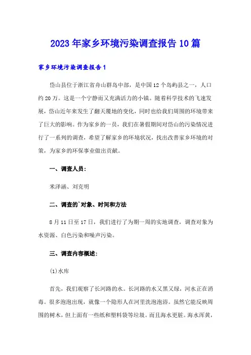 2023年家乡环境污染调查报告10篇