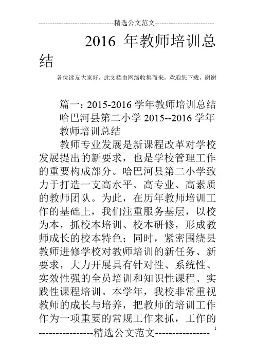 2016年教师培训总结