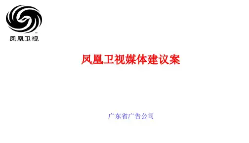 n凤凰卫视媒体建议案文档