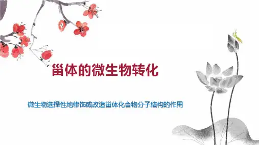 甾体的微生物转化