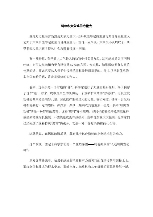 蚂蚁和大象谁的力量大