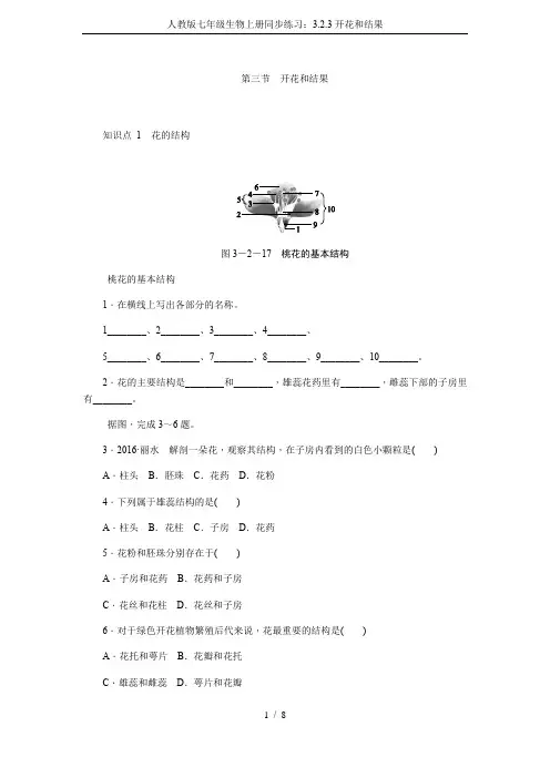 人教版七年级生物上册同步练习：3.2.3开花和结果