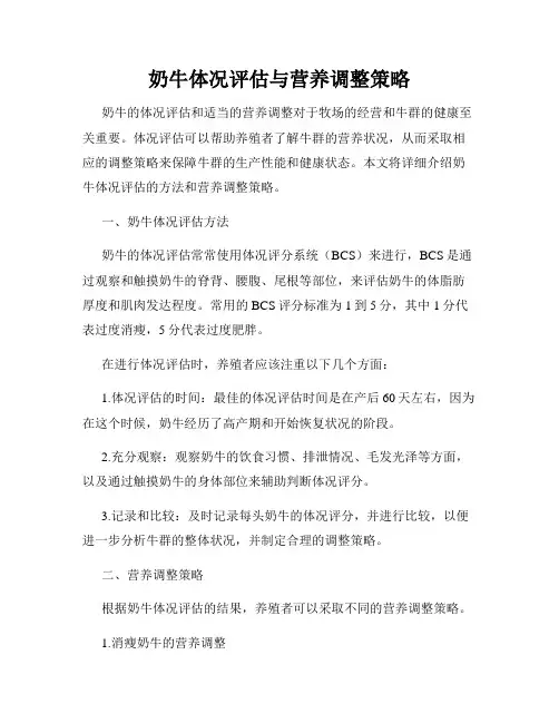 奶牛体况评估与营养调整策略