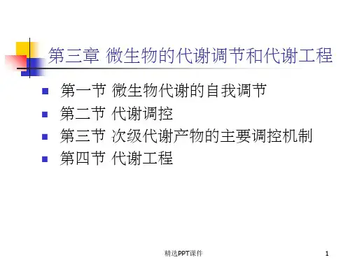 代谢工程课件PPT课件