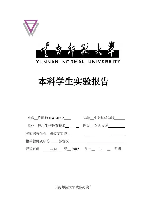 小鼠染色体