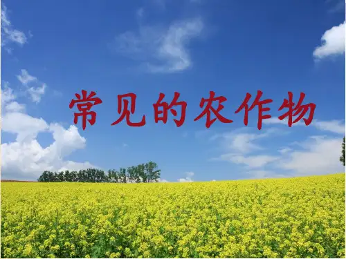 常见的农作物