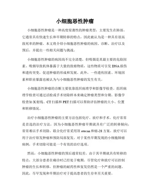 小细胞恶性肿瘤