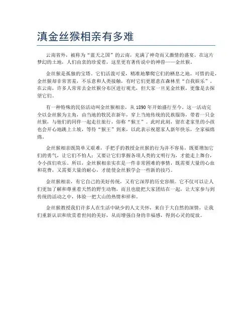 滇金丝猴相亲有多难