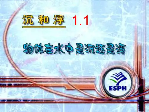 物体在水中是沉还是浮