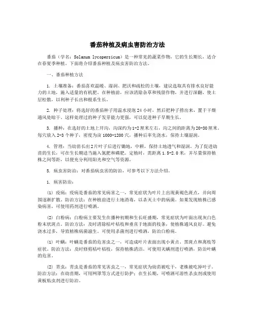 番茄种植及病虫害防治方法