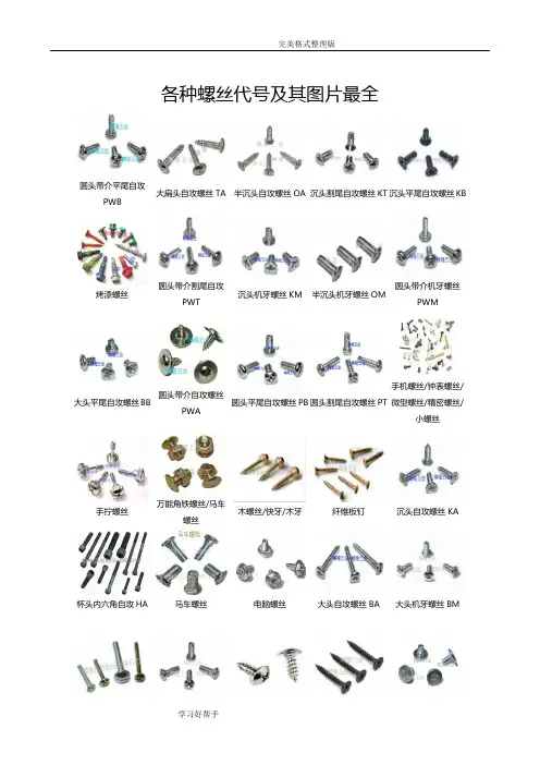各种螺丝代号及图片大全