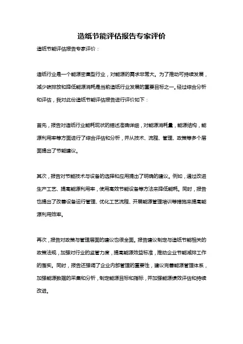 造纸节能评估报告专家评价