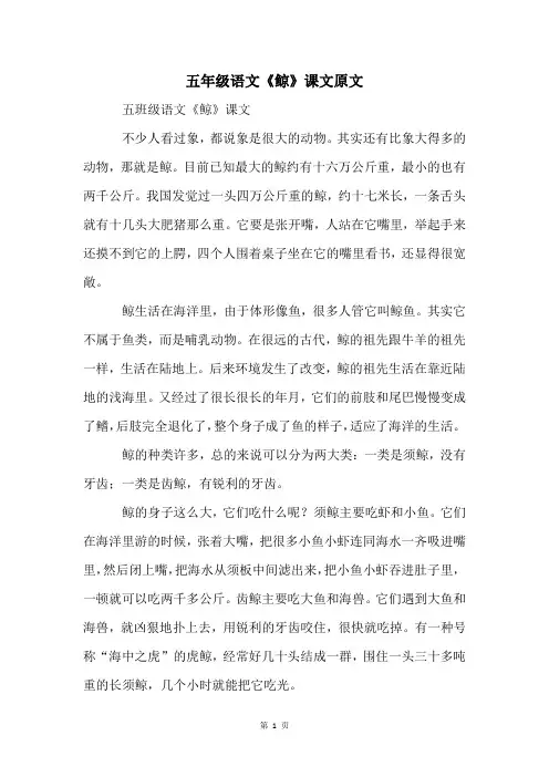 五年级语文《鲸》课文原文