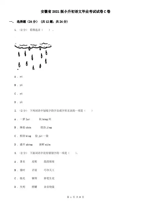 安徽省2021版小升初语文毕业考试试卷C卷