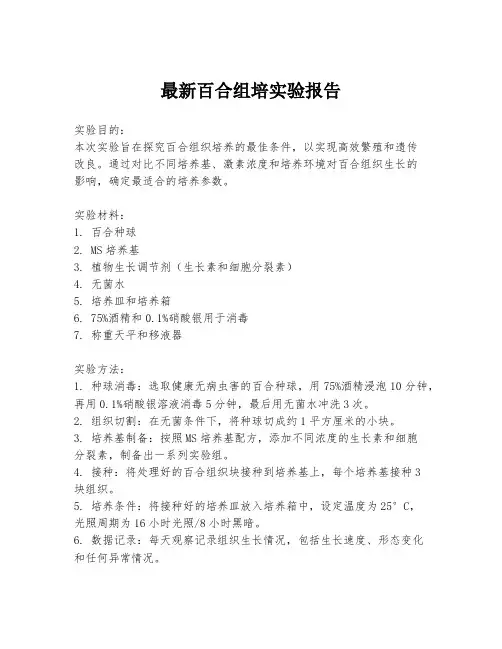 最新百合组培实验报告