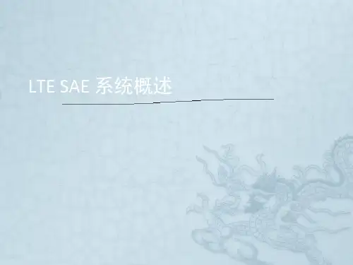 LTE系统概述华为