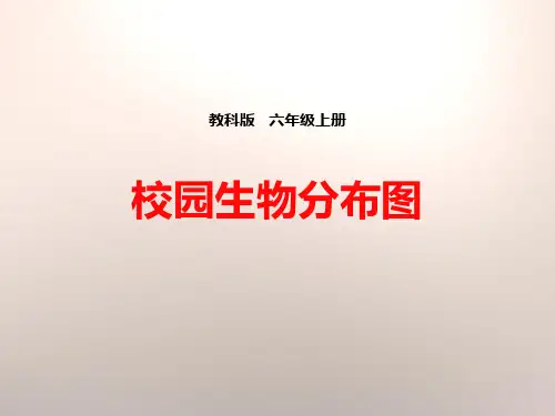 校园生物分布图-生物的多样性公开课课件