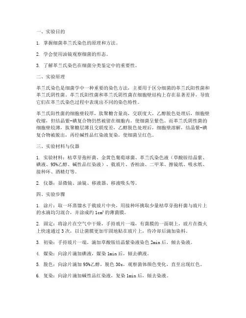 细菌革兰氏染色实验报告