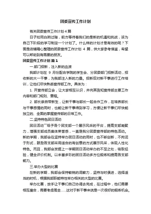 团委宣传工作计划