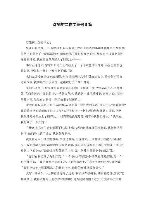 灯笼初二作文范例5篇