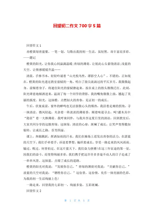 回望初二作文700字5篇