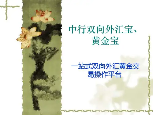 中行双向外汇宝、黄金宝.pptx
