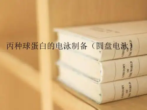 丙种球蛋白的电泳制备(圆盘电泳)