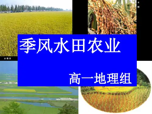 季风水田农业(优质课课件)