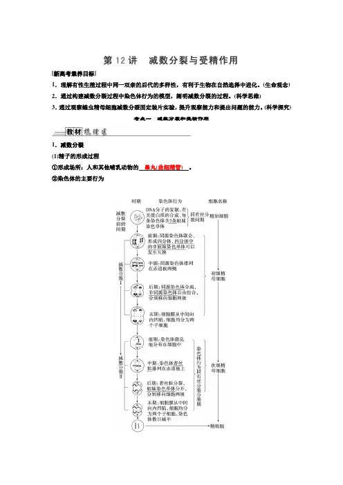 新高考 一轮复习 人教版 减数分裂与受精作用 教案