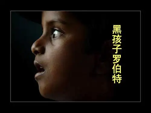 黑孩子罗伯特第二课时