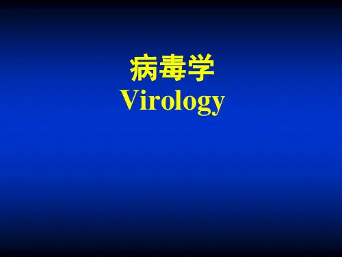 病毒学课件：1病毒的基本性状
