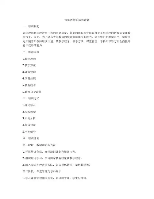 青年教师的培训计划