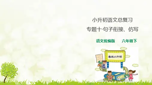 人教统编版小升初语文总复习专题(句子排序、衔接、仿写+修辞手法)PPT课件