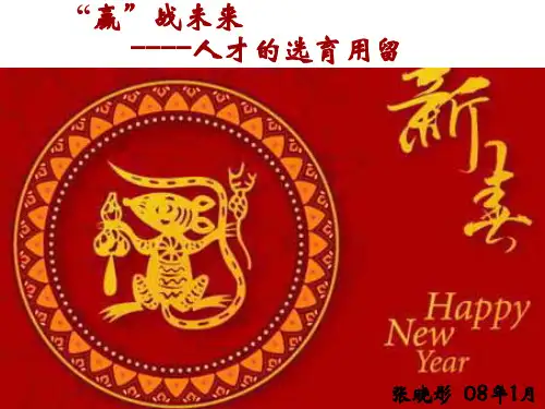 张晓彤新 选育用留人才