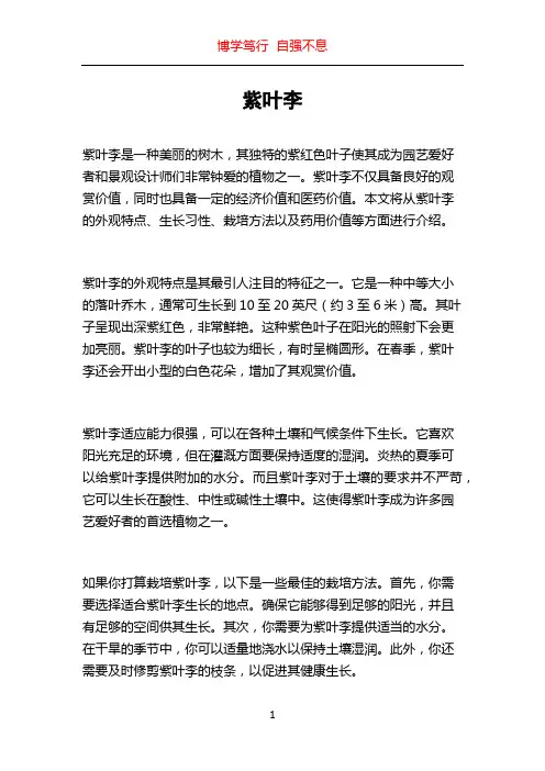 紫叶李_精品文档