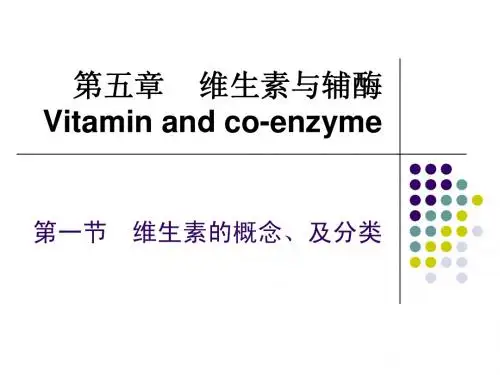 维生素和辅酶
