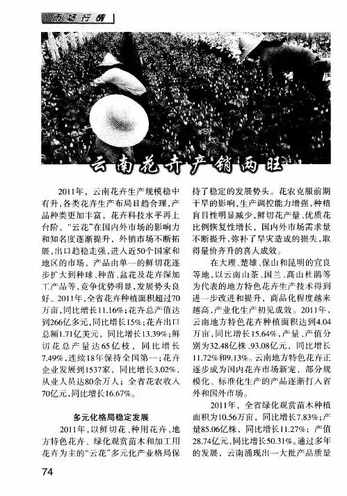 云南花卉产销两旺