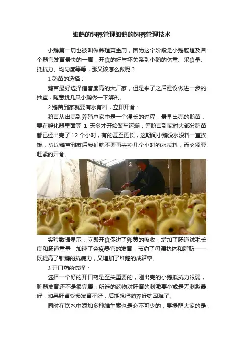 雏鹅的饲养管理雏鹅的饲养管理技术