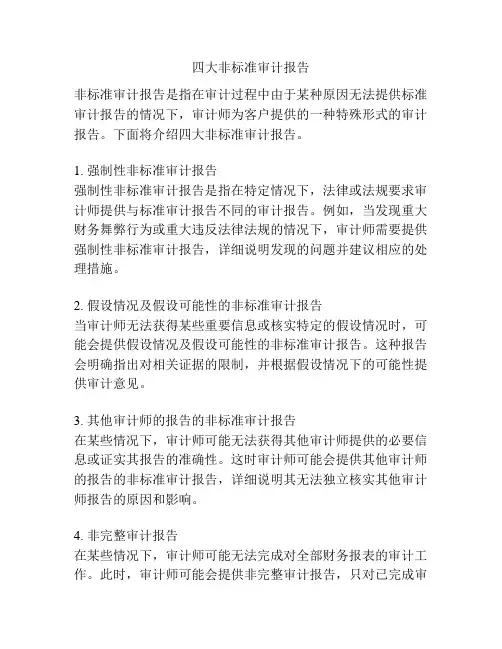 四大非标准审计报告