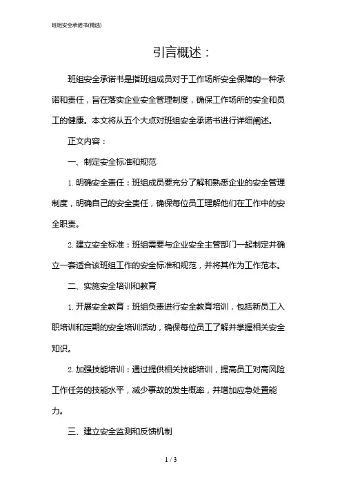 班组安全承诺书(精选)(2024)