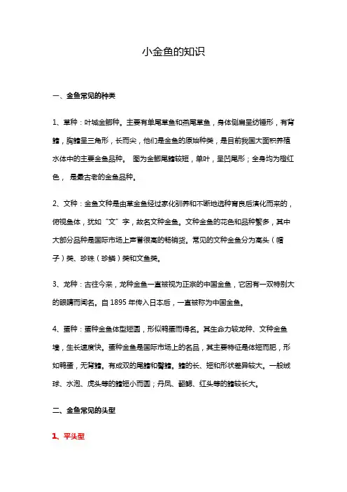 小金鱼的知识