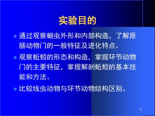 实验四-环节动物的解剖及与线虫动物形态结构比较PPT课件