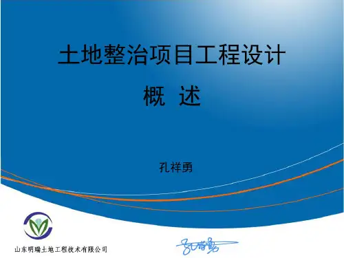 土地整治项目工程设计-土地平整