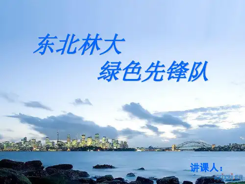 海豚小档案
