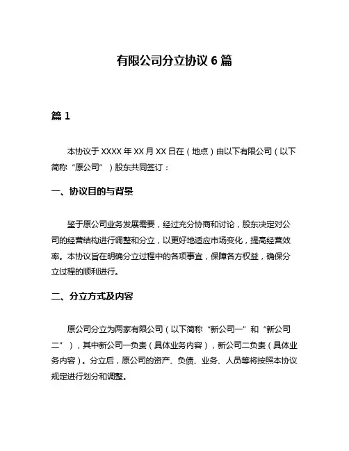 有限公司分立协议6篇