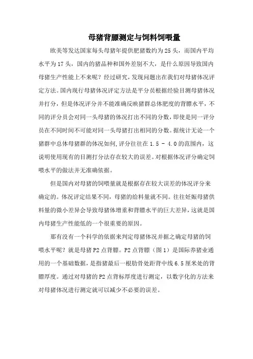 背膘测定与饲养