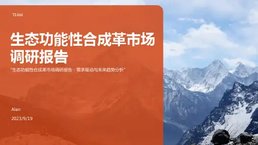 2023年中国生态功能性合成革市场发展现状调研与未来前景分析报告