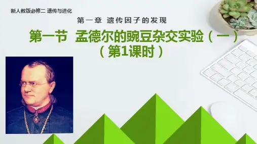 1-1孟德尔的豌豆杂交实验(一)(教学课件)——高中生物人教版(2019)必修第二册