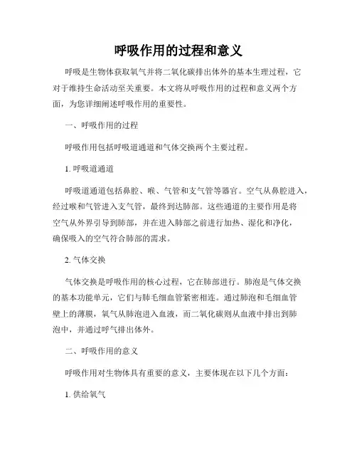 呼吸作用的过程和意义