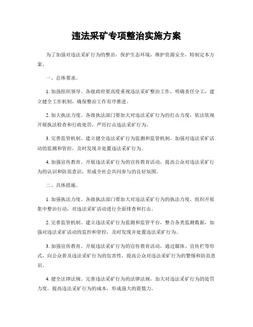 违法采矿专项整治实施方案